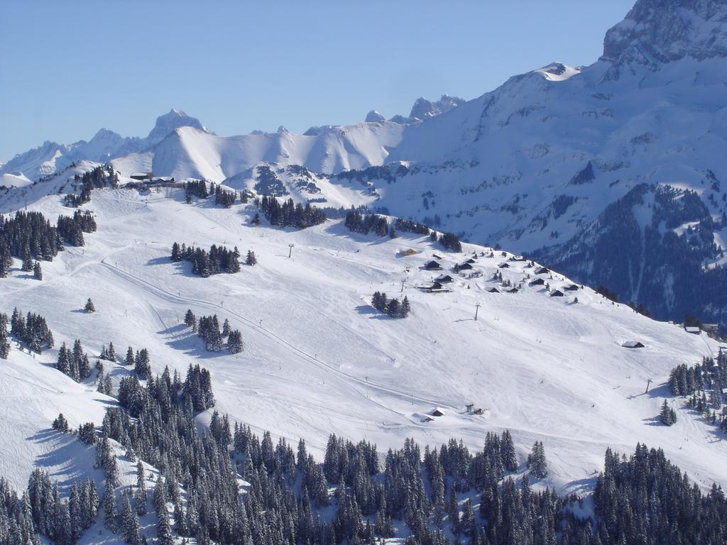 Hotel Des Alpes Champéry Dış mekan fotoğraf