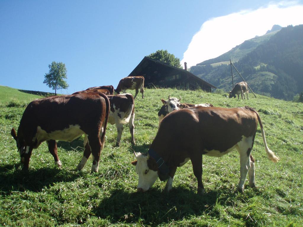 Hotel Des Alpes Champéry Dış mekan fotoğraf