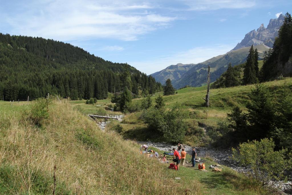 Hotel Des Alpes Champéry Dış mekan fotoğraf